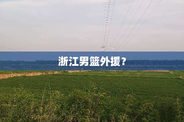 浙江男篮外援？