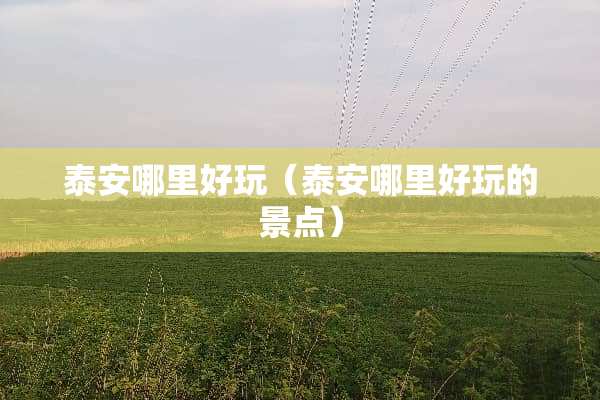 泰安哪里好玩（泰安哪里好玩的景点）