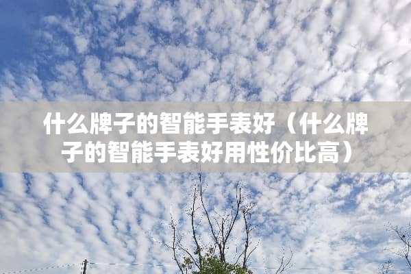 什么牌子的智能手表好（什么牌子的智能手表好用性价比高）