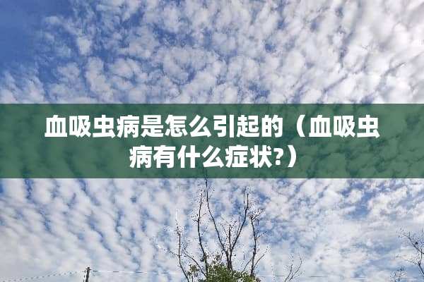 血吸虫病是怎么引起的（血吸虫病有什么症状?）