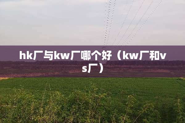 hk厂与kw厂哪个好（kw厂和vs厂）