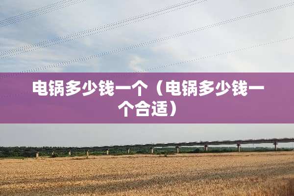 电锅多少钱一个（电锅多少钱一个合适）