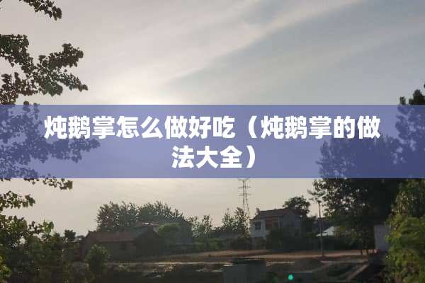 炖鹅掌怎么做好吃（炖鹅掌的做法大全）