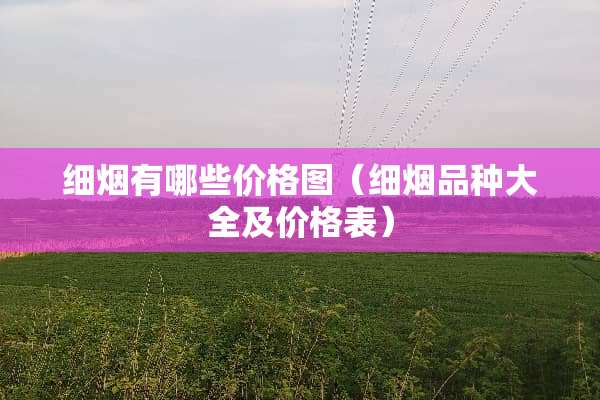 细烟有哪些价格图（细烟品种大全及价格表）