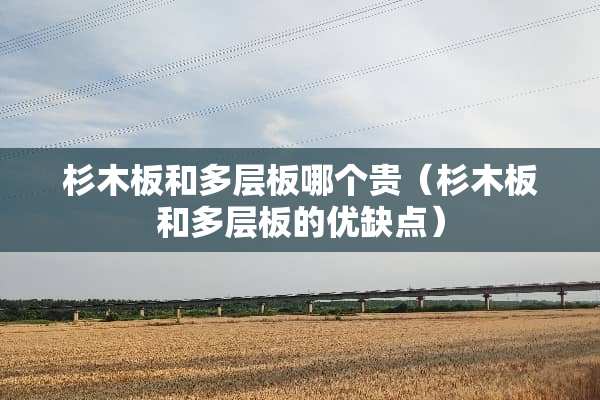 杉木板和多层板哪个贵（杉木板和多层板的优缺点）