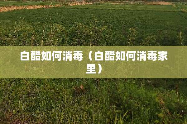 白醋如何消毒（白醋如何消毒家里）