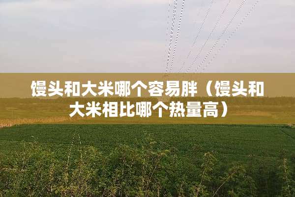馒头和大米哪个容易胖（馒头和大米相比哪个热量高）