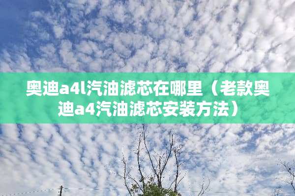 奥迪a4l汽油滤芯在哪里（老款奥迪a4汽油滤芯安装方法）