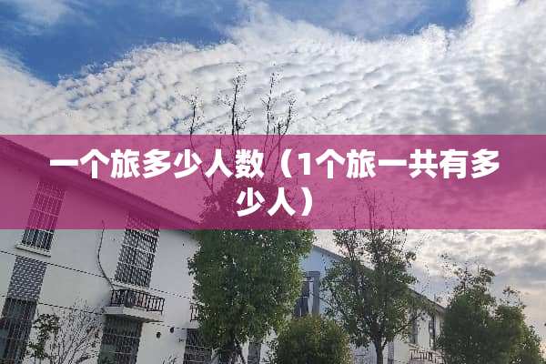 一个旅多少人数（1个旅一共有多少人）