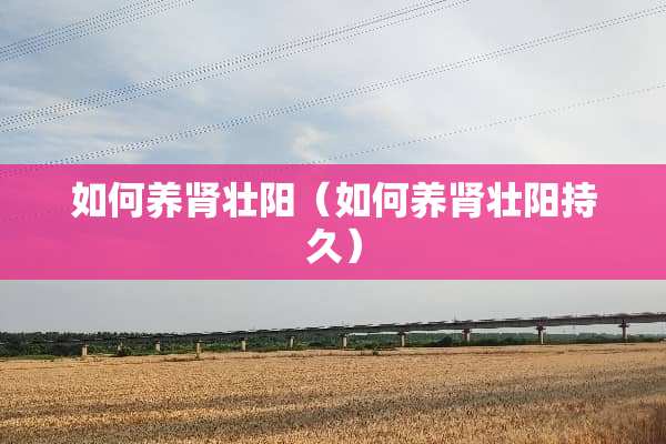 如何养肾壮阳（如何养肾壮阳持久）