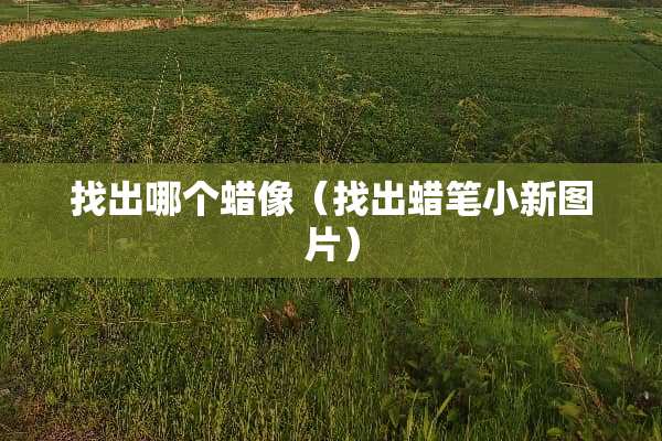 找出哪个蜡像（找出蜡笔小新图片）