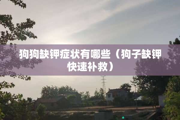 狗狗缺钾症状有哪些（狗子缺钾快速补救）