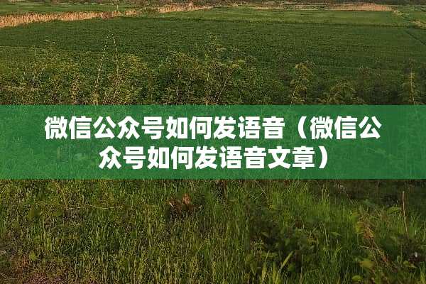 微信公众号如何发语音（微信公众号如何发语音文章）
