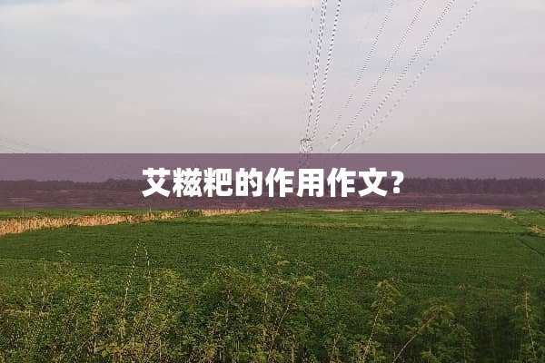 艾糍粑的作用作文？