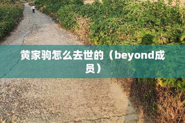 黄家驹怎么去世的（beyond成员）