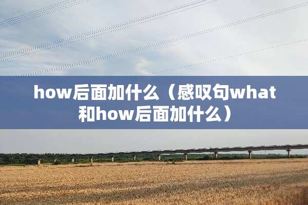 how后面加什么（感叹句what和how后面加什么）