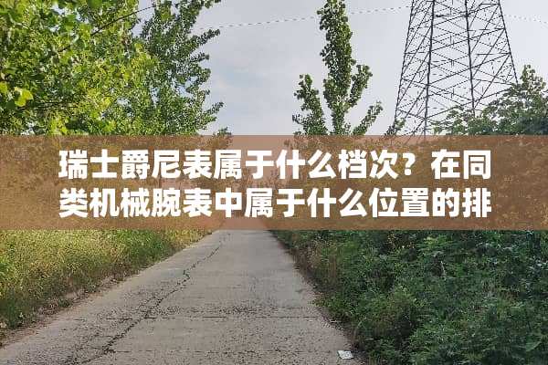 瑞士爵尼表属于什么档次？在同类机械腕表中属于什么位置的排名？