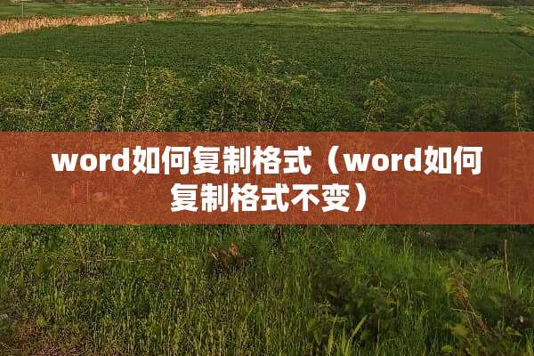 word如何复制格式（word如何复制格式不变）