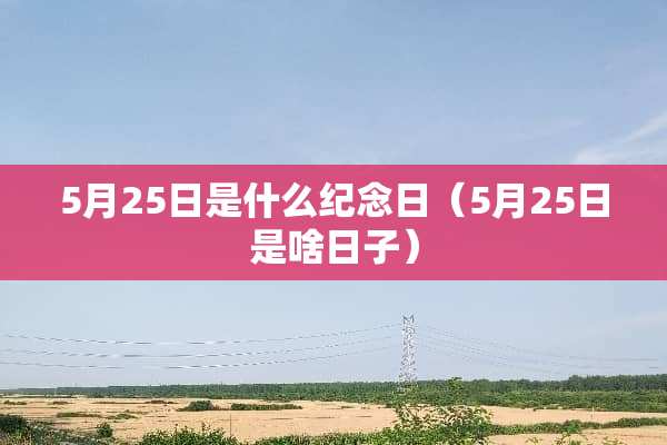 5月25日是什么纪念日（5月25日是啥日子）