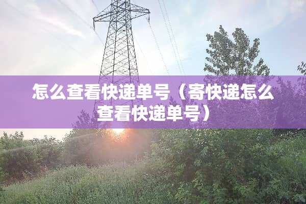 怎么查看快递单号（寄快递怎么查看快递单号）