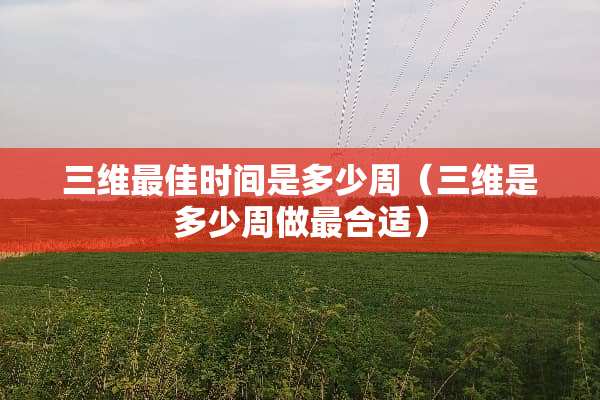 三维最佳时间是多少周（三维是多少周做最合适）
