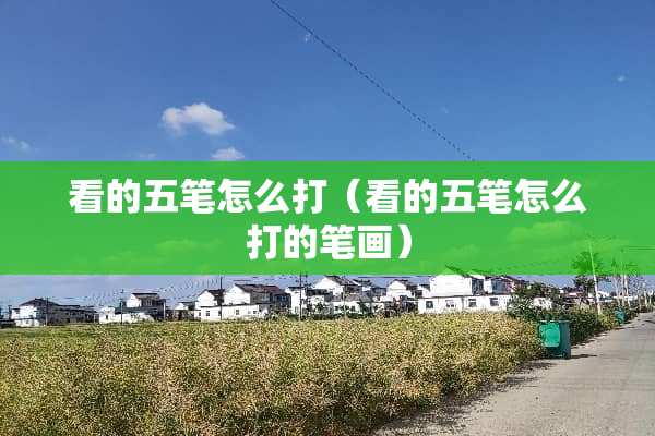 看的五笔怎么打（看的五笔怎么打的笔画）