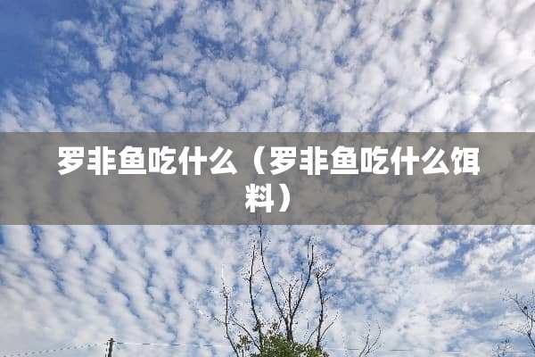 罗非鱼吃什么（罗非鱼吃什么饵料）