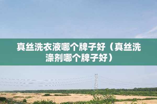 真丝洗衣液哪个牌子好（真丝洗涤剂哪个牌子好）
