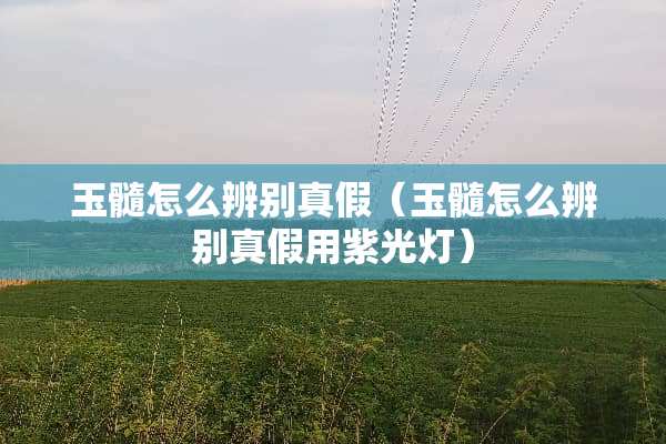 玉髓怎么辨别真假（玉髓怎么辨别真假用紫光灯）