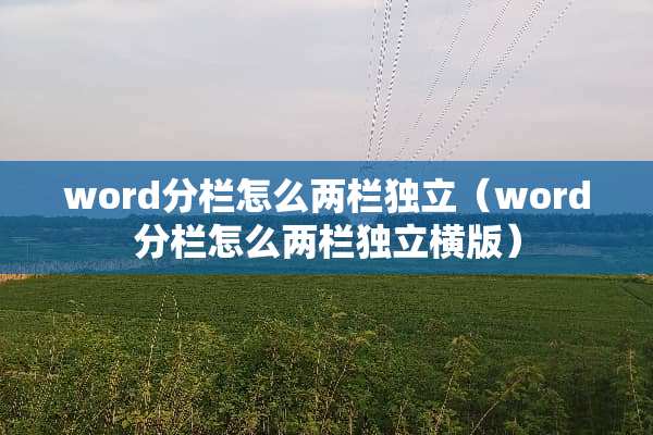 word分栏怎么两栏**（word分栏怎么两栏**横版）