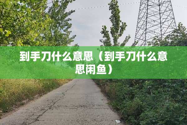 到手刀什么意思（到手刀什么意思闲鱼）