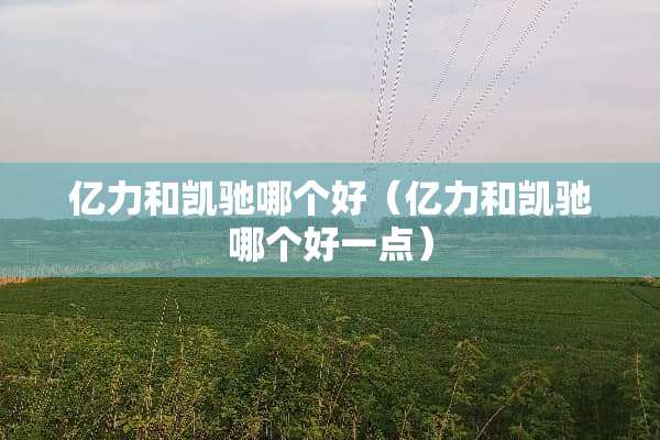 亿力和凯驰哪个好（亿力和凯驰哪个好一点）