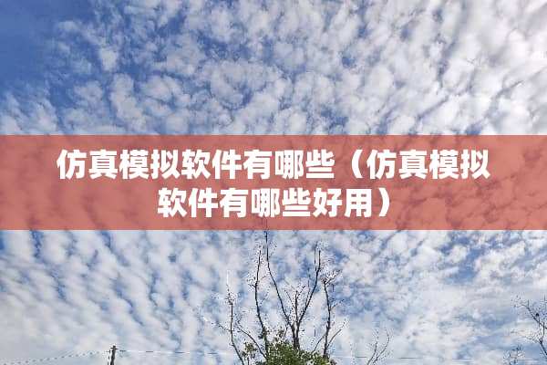 仿真模拟软件有哪些（仿真模拟软件有哪些好用）