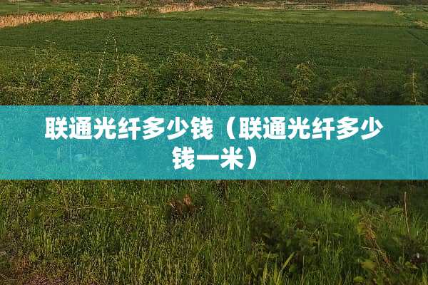 联通光纤多少钱（联通光纤多少钱一米）