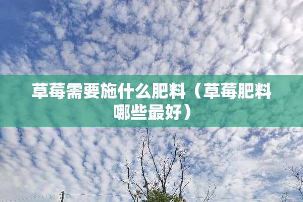 草莓需要施什么肥料（草莓肥料哪些最好）