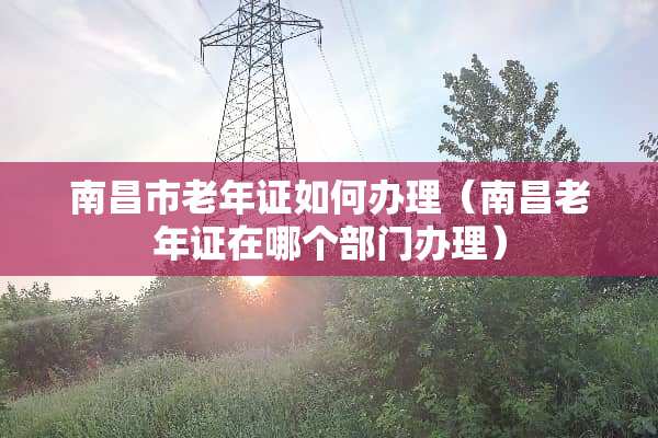 南昌市老年证如何办理（南昌老年证在哪个部门办理）