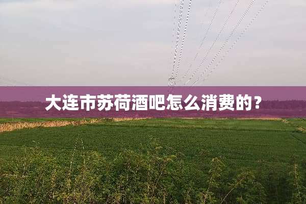 大连市苏荷酒吧怎么消费的？