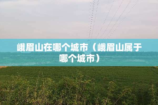 峨眉山在哪个城市（峨眉山属于哪个城市）