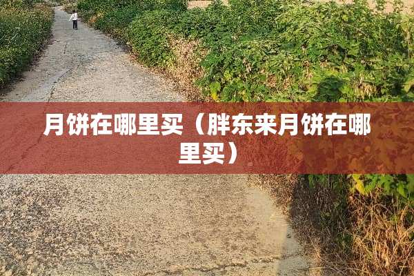 月饼在哪里买（胖东来月饼在哪里买）
