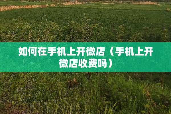 如何在手机上开微店（手机上开微店收费吗）