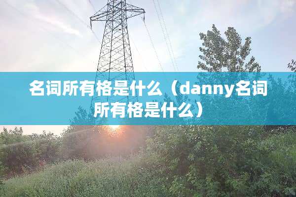 名词所有格是什么（danny名词所有格是什么）