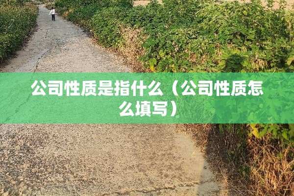 公司性质是指什么（公司性质怎么填写）