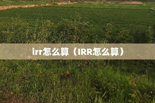 irr怎么算（IRR怎么算）