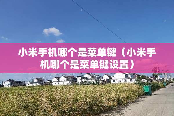 小米手机哪个是菜单键（小米手机哪个是菜单键设置）