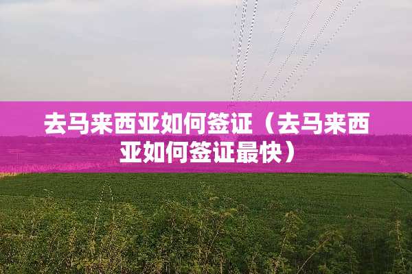 去马来西亚如何签证（去马来西亚如何签证最快）