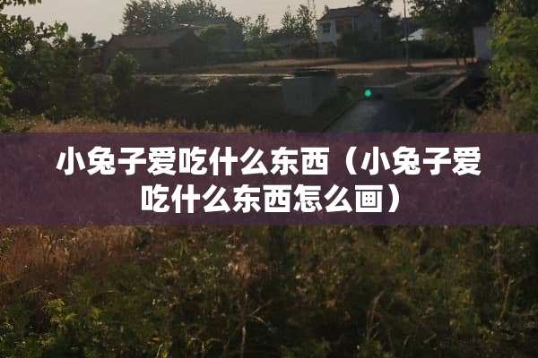 小兔子爱吃什么东西（小兔子爱吃什么东西怎么画）