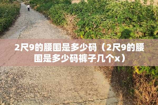 2尺9的腰围是多少码（2尺9的腰围是多少码裤子几个x）