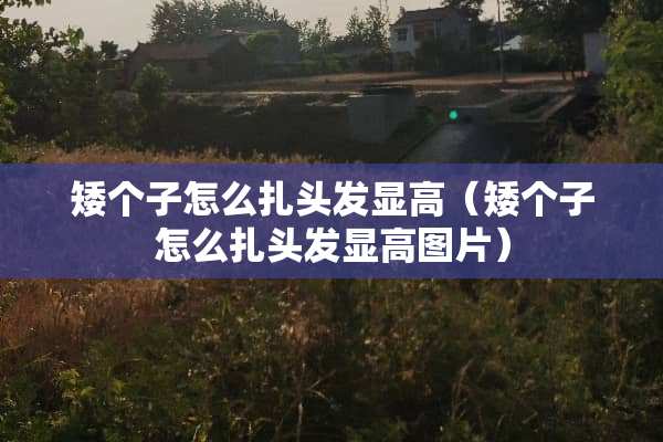 矮个子怎么扎头发显高（矮个子怎么扎头发显高图片）