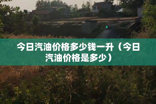 今日汽油价格多少钱一升（今日汽油价格是多少）