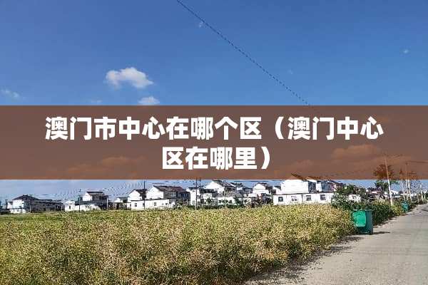 澳门市中心在哪个区（澳门中心区在哪里）